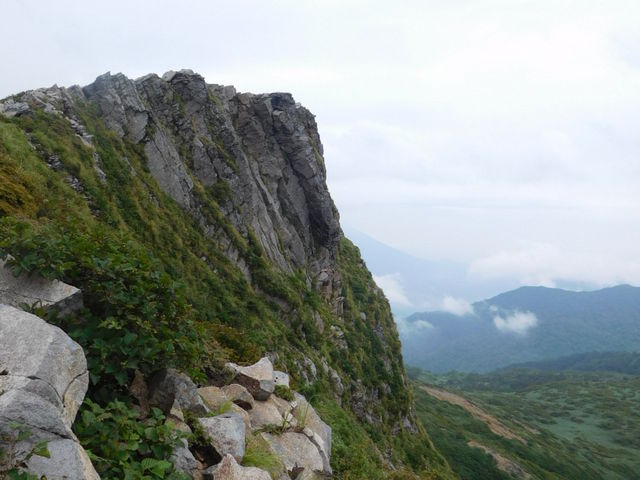 �R���̐؂藧�����R�ɋ����I_�����R