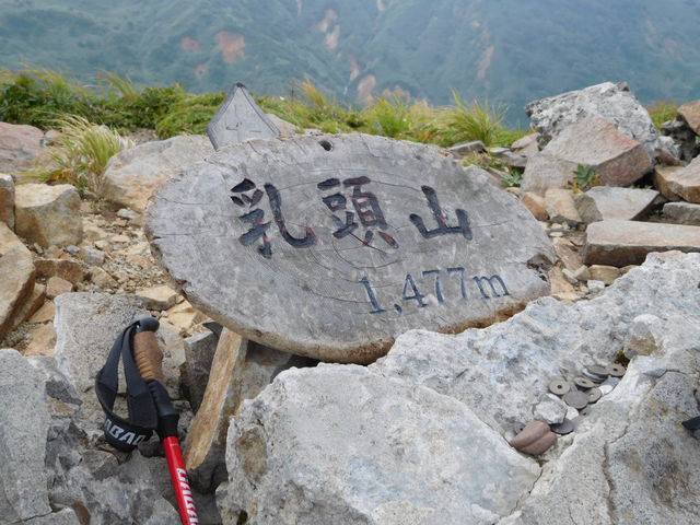 �����R�R���ł��`�B�������򂩂�100���Œ����܂����B_�����R