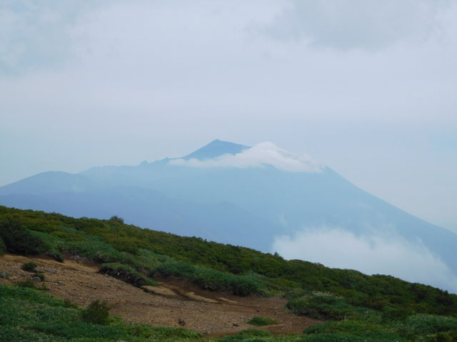 ���R�������܂����B_�����R