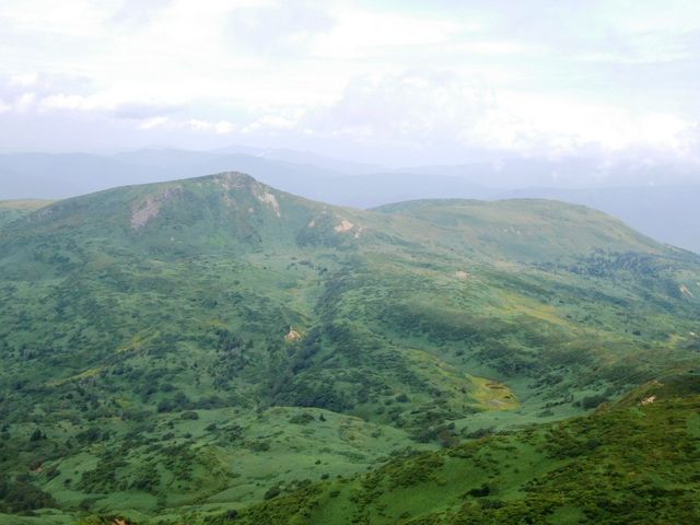 ═X�R���猩�������R�B_�����R