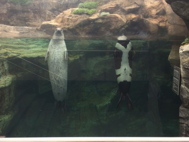 NJPAUVƃS}tAUV_ANA}ӂ