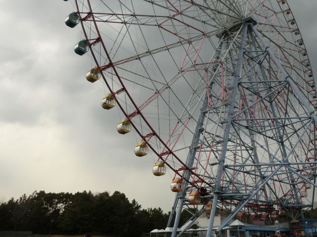 �ł���_�_�C���ƉԂ̑�ϗ���