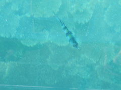 kenken̗OX{[gւ̓eʐ^1