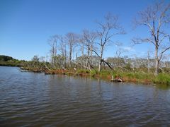 �Ƃ�����񂳂�̃J�k�[�V���b�v�q���C���ւ̓��e�ʐ^1