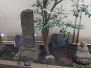 �x����̉p�M���̕�̓��e�ʐ^1