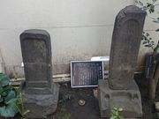 �x����̊ϐ����̕�̓��e�ʐ^1