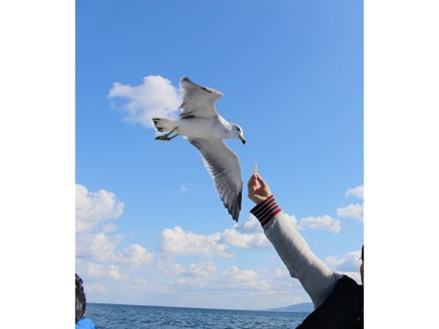 ����Ȃ��Ƃ��̌��o���邩���H�H_���M�̓��A�N���[�Y