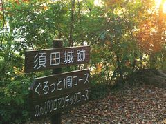 メイさんの臥竜公園・臥竜山(須田城跡)の投稿写真1