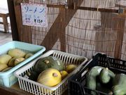 Ƃ񂳂̓̉w ˔R̓eʐ^5