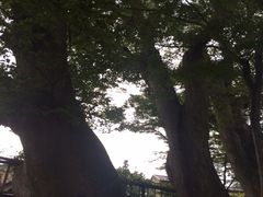 ݂񂳂̋xؓ@ւ̓eʐ^1