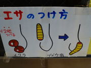 ނ炳񂳂̏@̑ V鍑ۖޏ̓eʐ^1