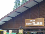 kaku����̐�����̍؂̉Ԃ̓��e�ʐ^1