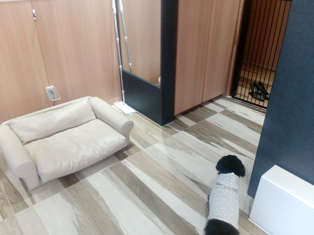 ���p�\�t�@_�z�e���G�s�i�[���ߐ{