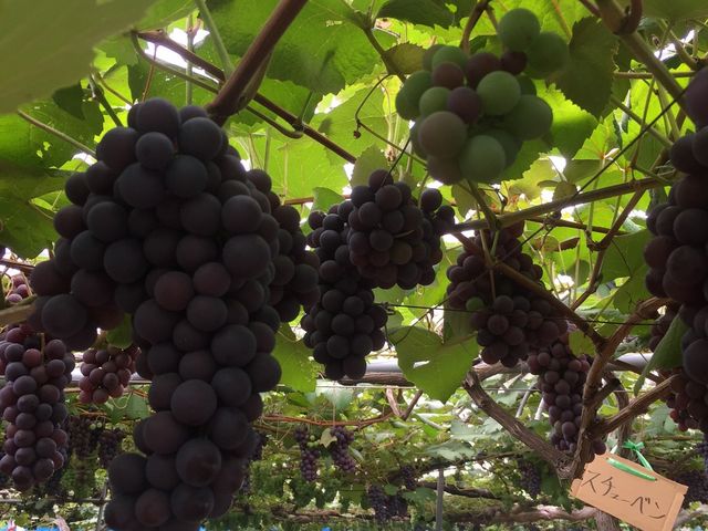 ñuhE͈ł_iJmt[ciόʎj