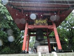 ɂǂ񂳂̐Vωւ̓eʐ^1