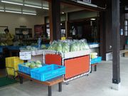 ponnkichȋRK[fvCX̓eʐ^1