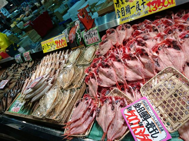 �������F�X_�����s��