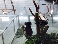 WHt@[p[N@COh̋u̎ʐ^1