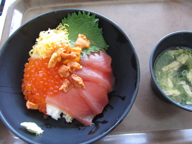 ���������C�N_�����s��