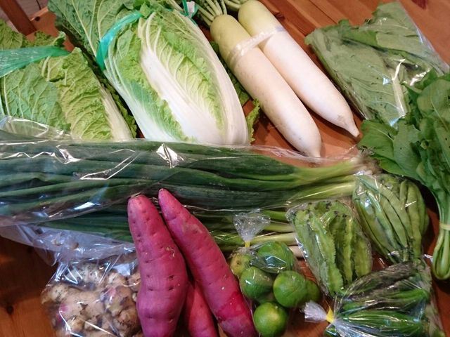 ����170�~�@�l�M100�~��_�o�Ή���ى����̓�