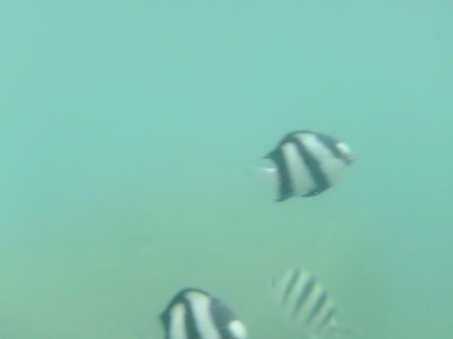 ��_��x�l�C��
