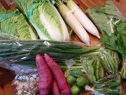 chamlovȅoΉى̓̓eʐ^1