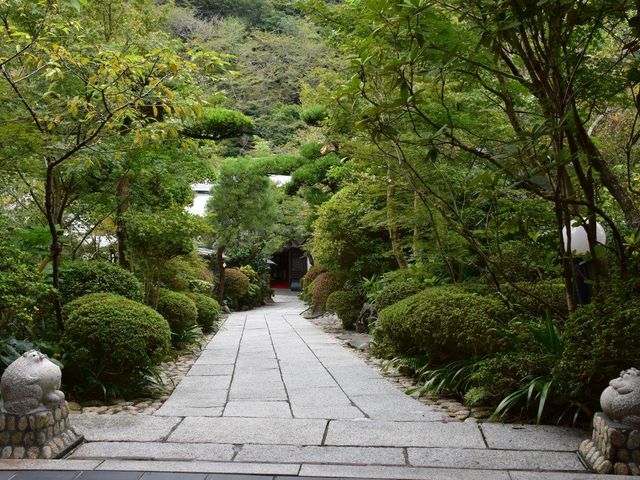 �юR���� �h_�юR����