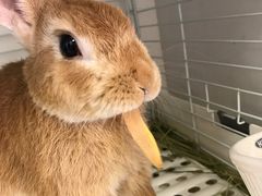 イ̂JtF@тсyr܁zւ̓eʐ^1