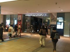 hisa777̃nJX300ւ̓eʐ^1