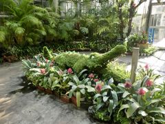 낿񂳂̔Moiijւ̓eʐ^1