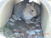 [񂳂̂܂΂̊ق̓eʐ^3