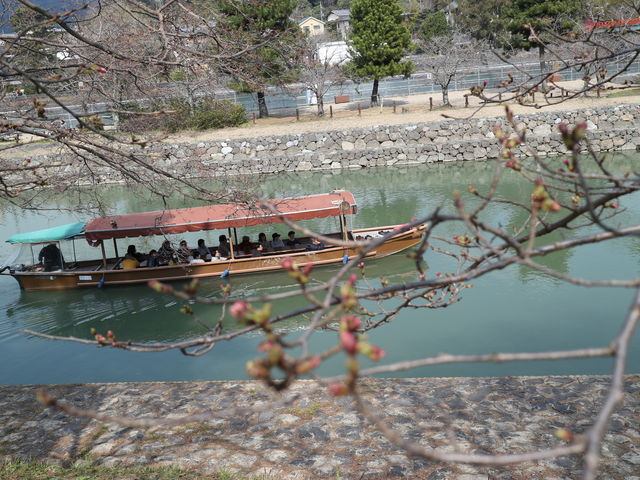 �����܂��ڂ݂Ŏc�O_�F����ό��V���D