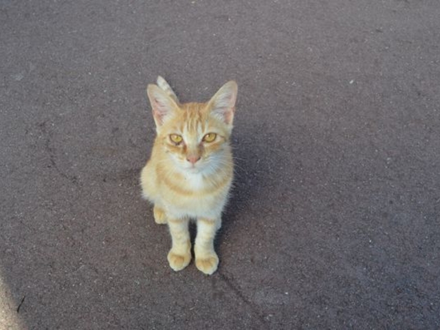 񂳂̓̉w Vz a̐Xق̓eʐ^2