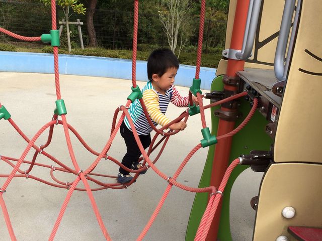 ʔVɎqсI_OAEgbgp[N ꗳ