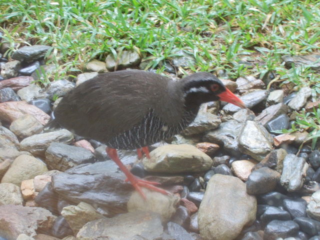 �L�����L����_�����o���N�C�i���ԓW���w�K�{��