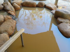 ̂낳̗Ln@qztւ̓eʐ^1