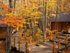 hrm))̃VbsO[hujOeXvւ̓eʐ^1