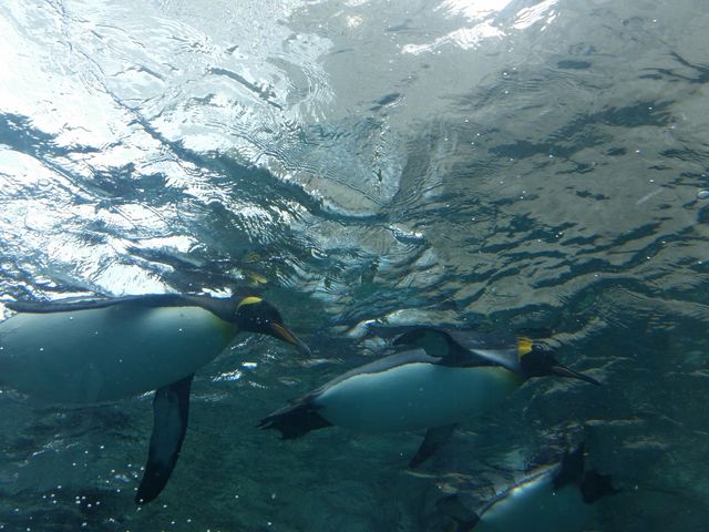 �y���M��_���R������