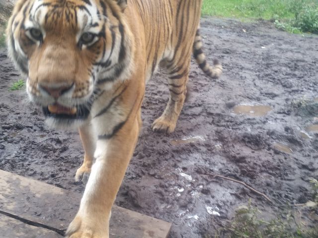 ���������߂��ɗ��܂�www_���R������