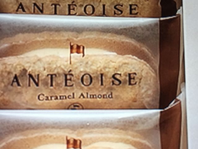 񂯂񂳂̃Aem[{ۓX̓eʐ^1