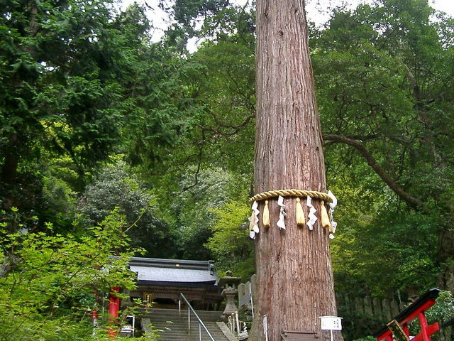 �吙����_�R��_��