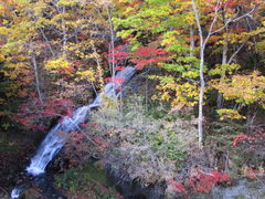 yosshy̎Oȋւ̓eʐ^1