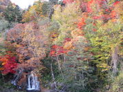 yosshỹ}iC̑̓eʐ^1