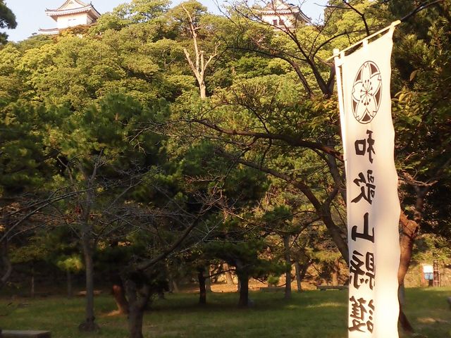 �A_�a�̎R���썑�_��