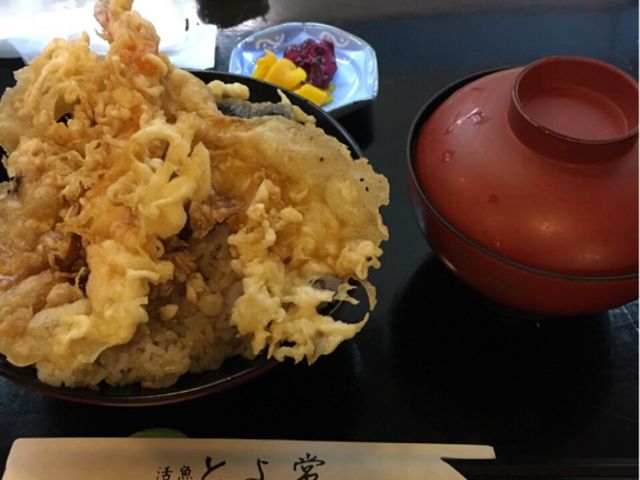 ͂ݏoقǓVՂ炪̂Ă܂I_Ƃ@wOX