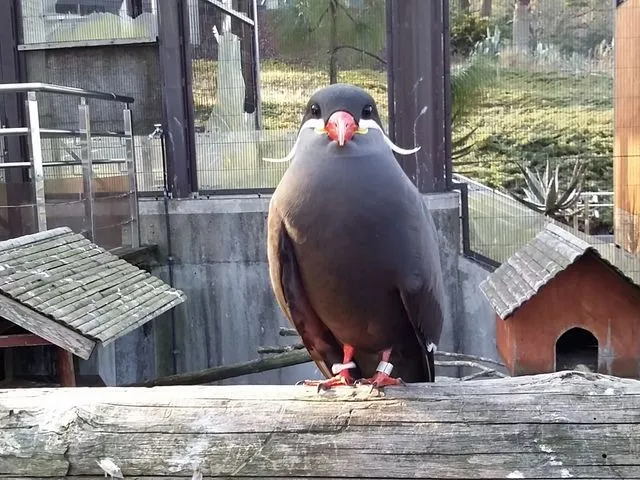 大島公園動物園