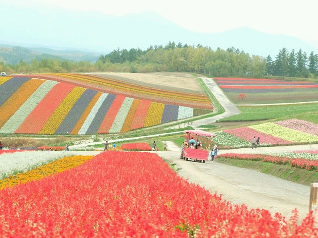 10���ł�����Ȃɂ��Ԃ���������_�l�G�ʂ̋u