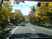 �t���M����̔��������̍g�t�̓��e�ʐ^1