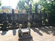 ��܂��[�܂񂳂�̍��쎁�ݑ�̕�̓��e�ʐ^2