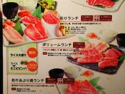 Ђ낿񂳂̍јaē r[t@[Y rq̓eʐ^1